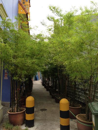 Superb Hostel Singapur Exterior foto